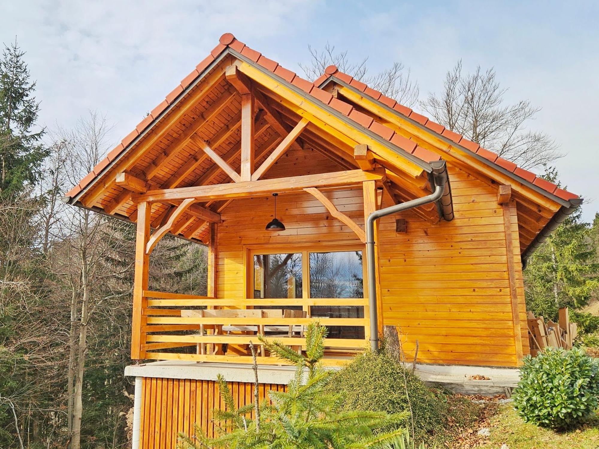 Vila Ica - Hisica V Hribih Kamnik Exteriér fotografie
